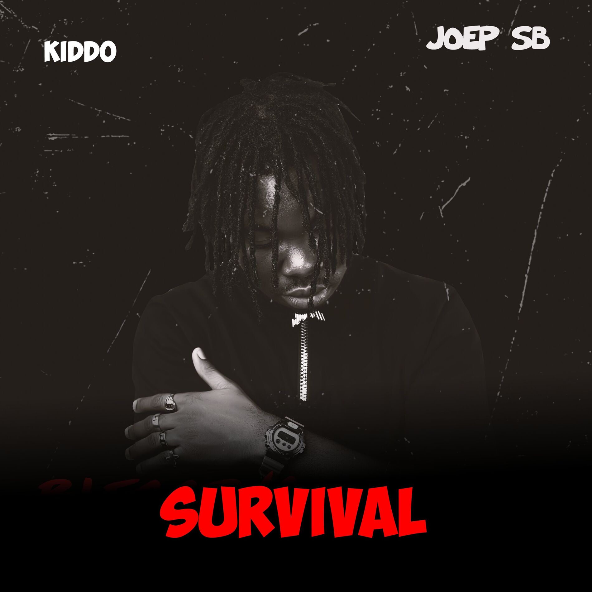 Album cover of Survival