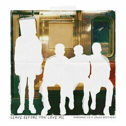 Cover of Leave Before You Love Me