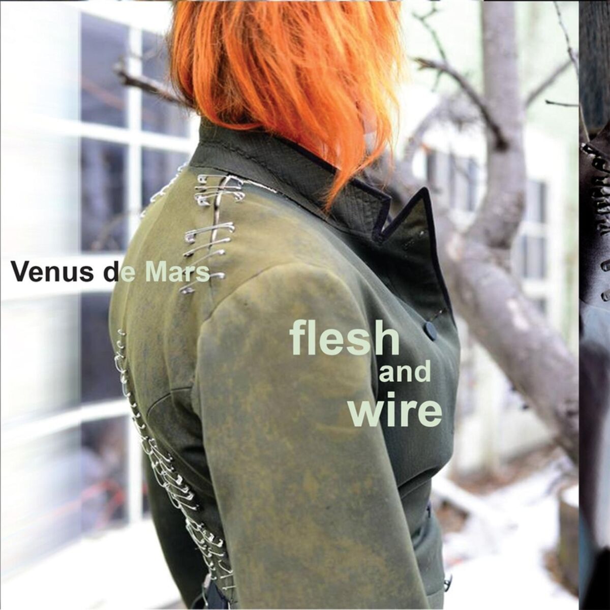 Album cover of Flesh and Wire