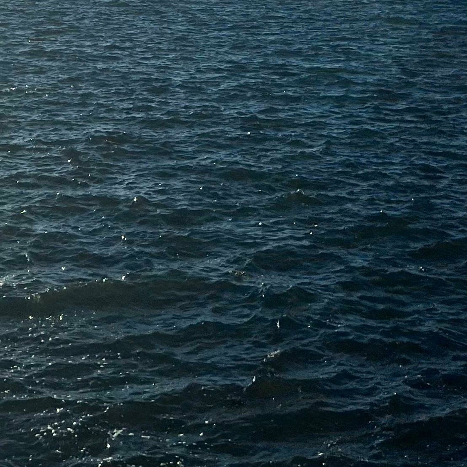 Album cover of by the water