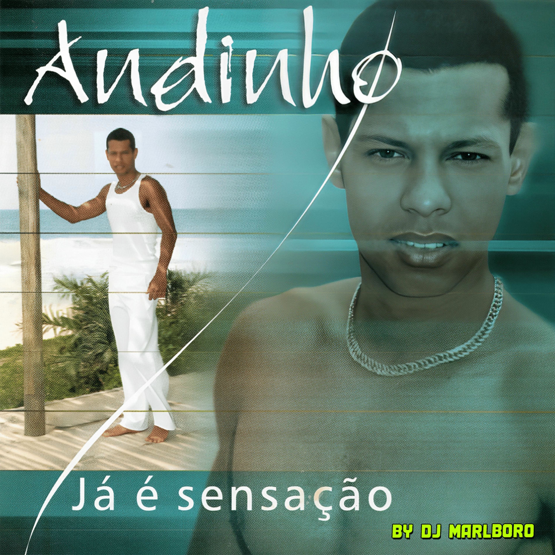 Album cover of Já É Sensação