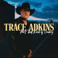 Cover of Ain't That Kind of Cowboy
