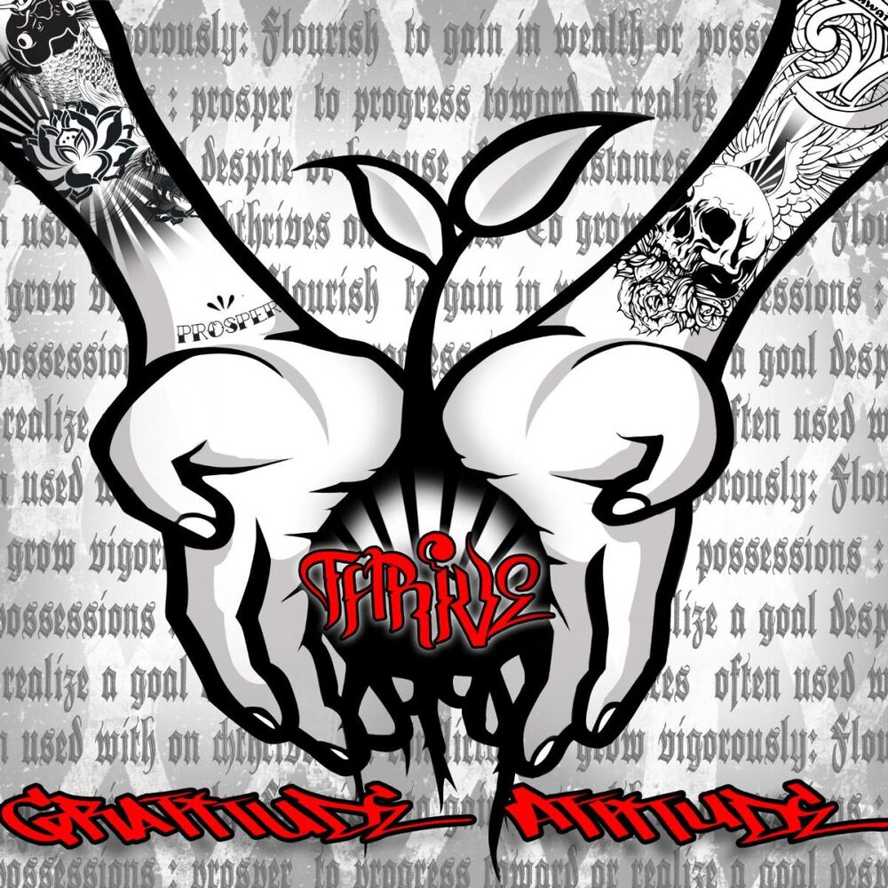 Picture of Gratitude Attitude