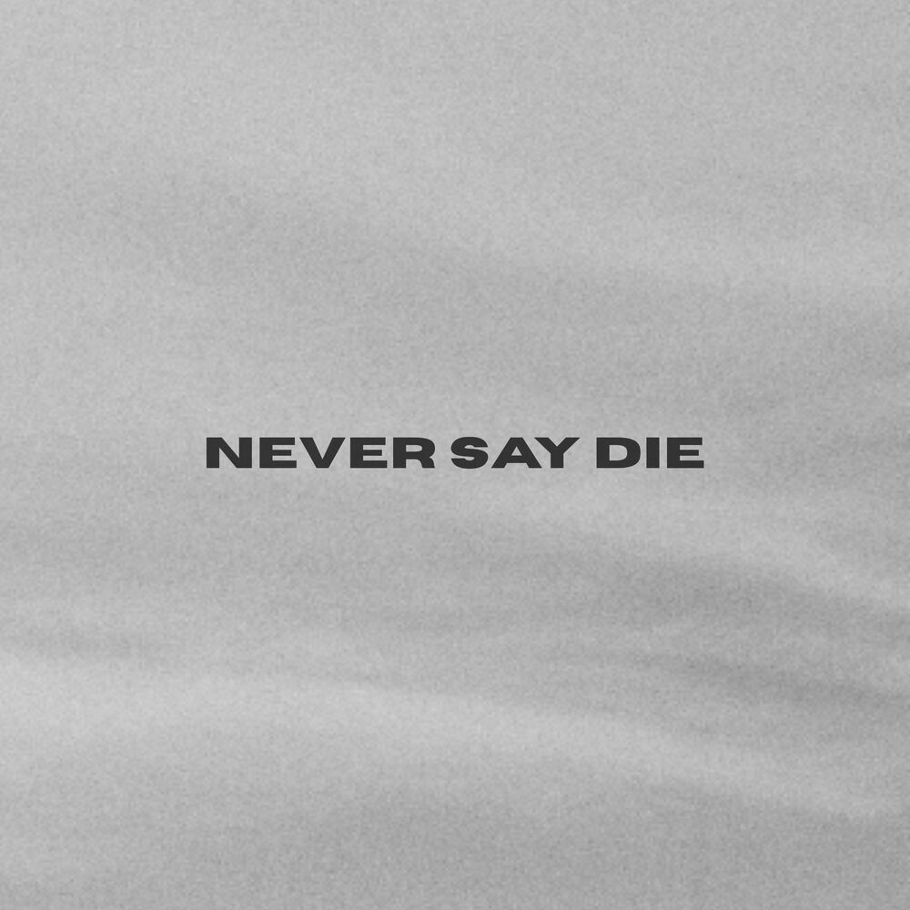 Picture of Never Say Die