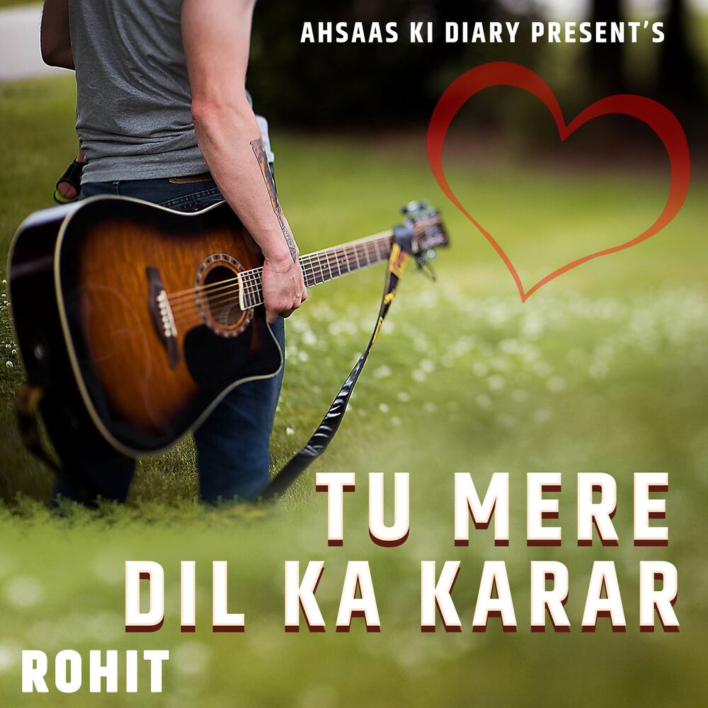Picture of Tu Mere Dil Ka Karar