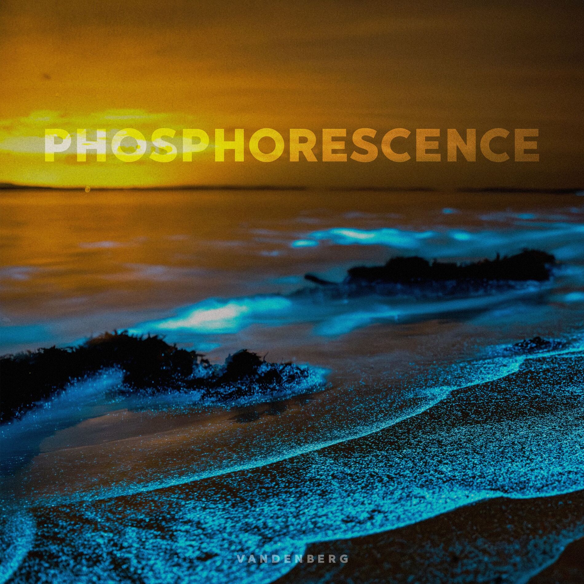 Album cover of Phosphorescence