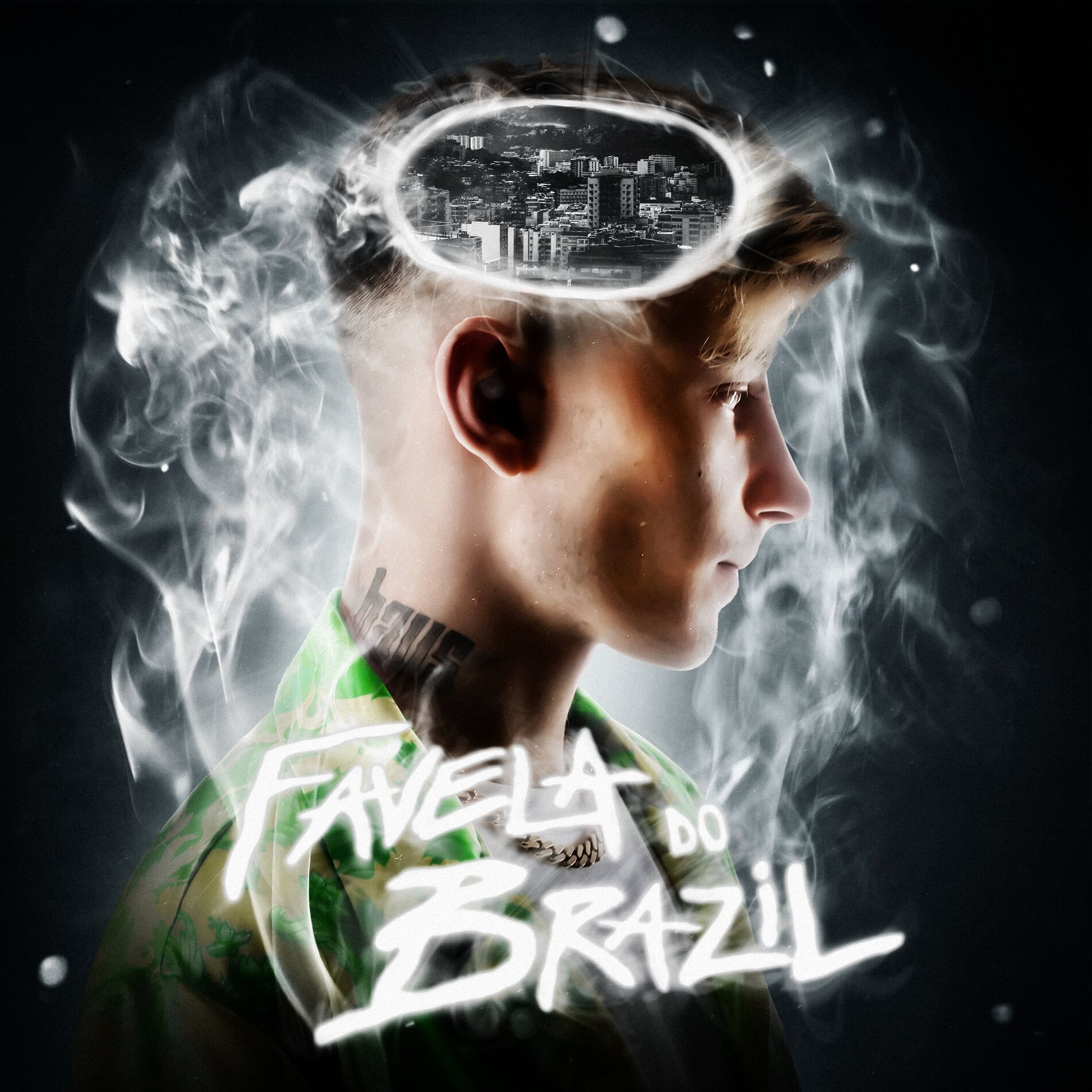 Album cover of FAVELA DO BRAZIL