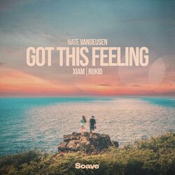 Cover of Got This Feeling