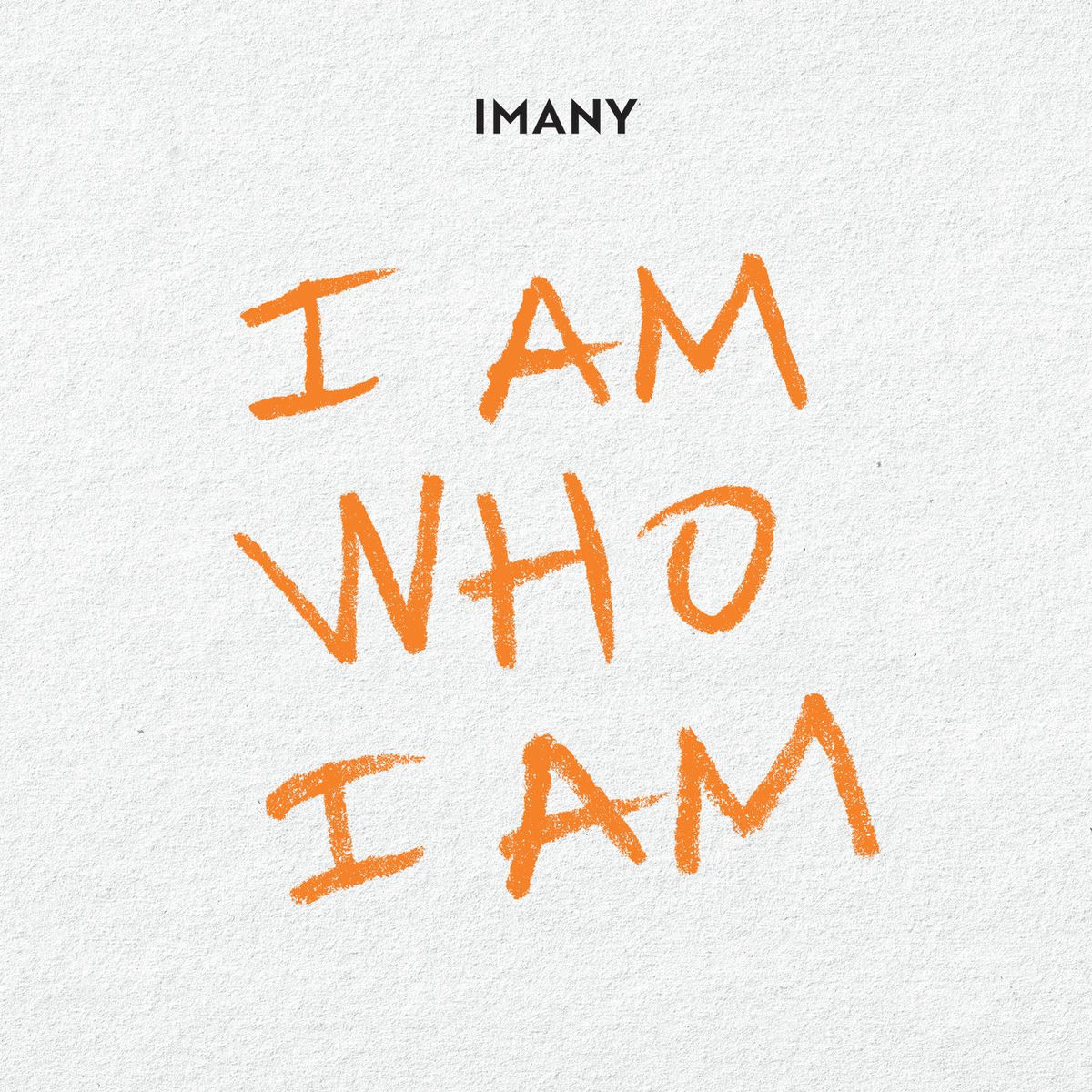 Album cover of I Am Who I Am