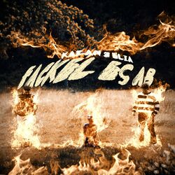 Cover of FACKEL ES AB