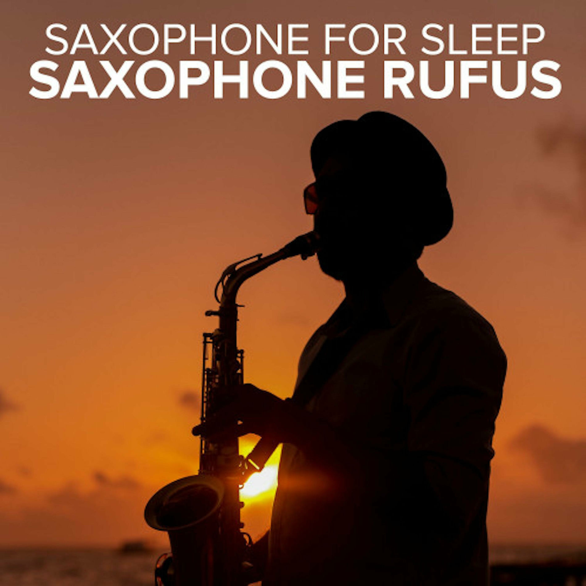 Album cover of Saxophone For Sleep