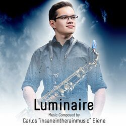 Cover of Luminaire