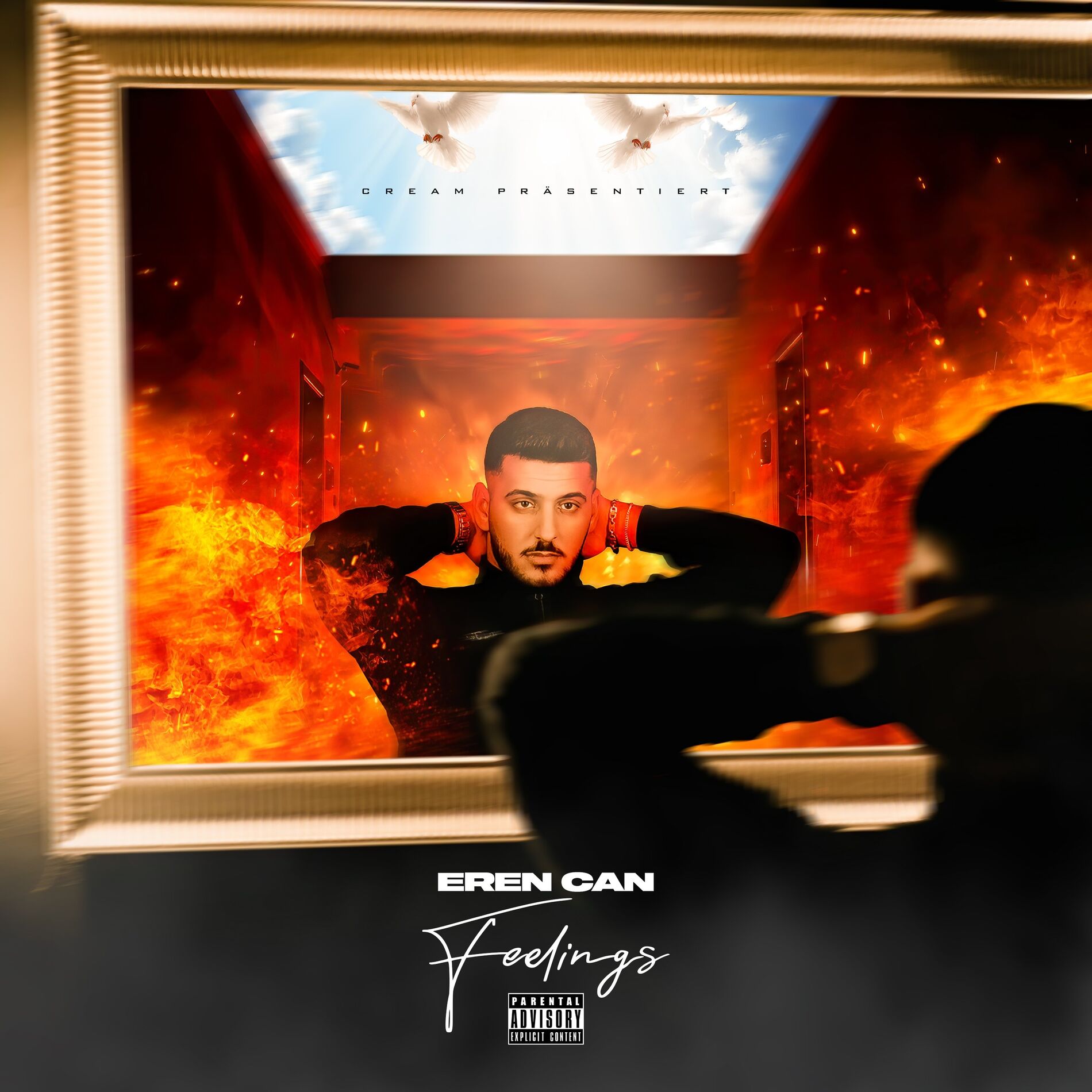 Album cover of Feelings