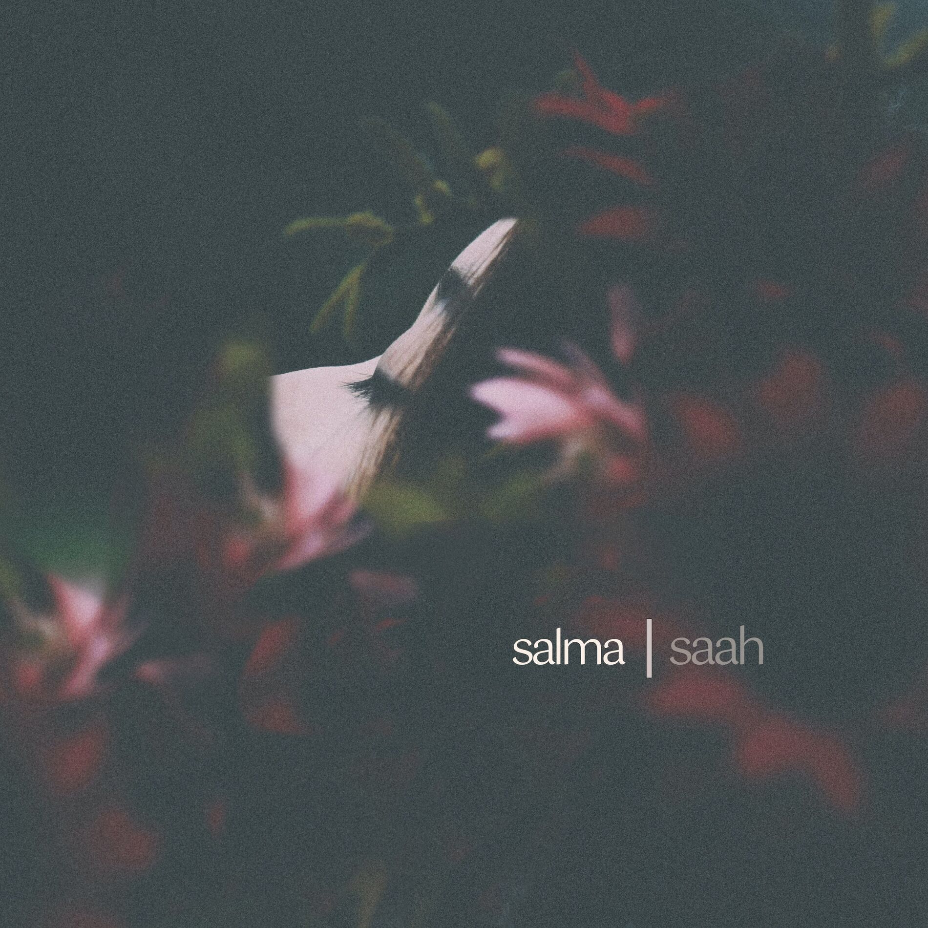 Album cover of Salma