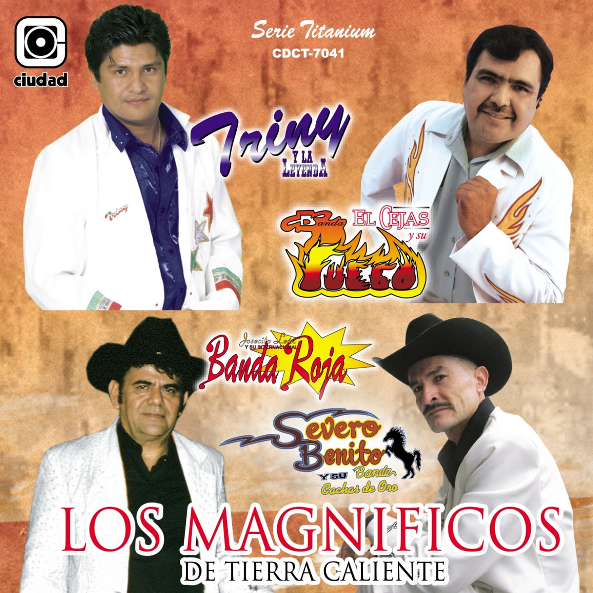 Album cover of Los Magníficos de Tierra Caliente (Serie Titanium)