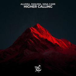 Cover of Higher Calling by undefined