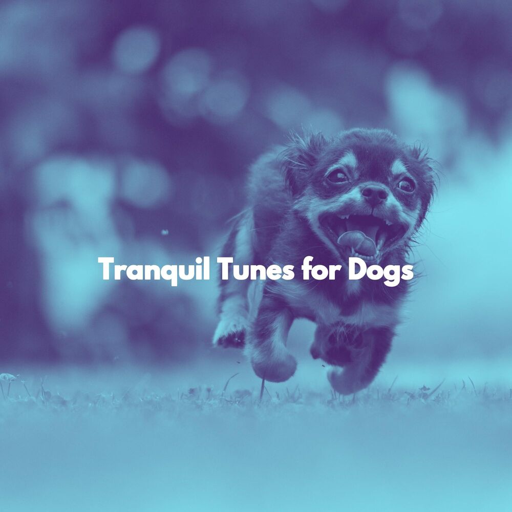 Picture of Tranquil Tunes for Dogs