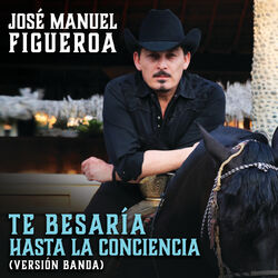 Cover of Te Besaría Hasta La Conciencia (Versión Banda)