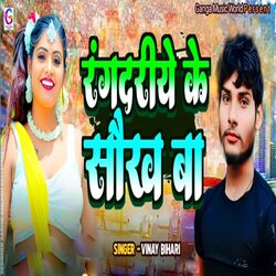 Cover of Rangdariye Ke Shaukh Ba
