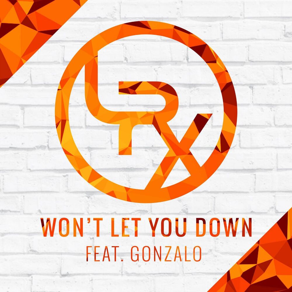 Picture of Won't Let You Down (feat. Gonzalo)