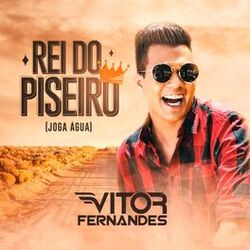 Cover of Rei do Piseiro (Joga Água)