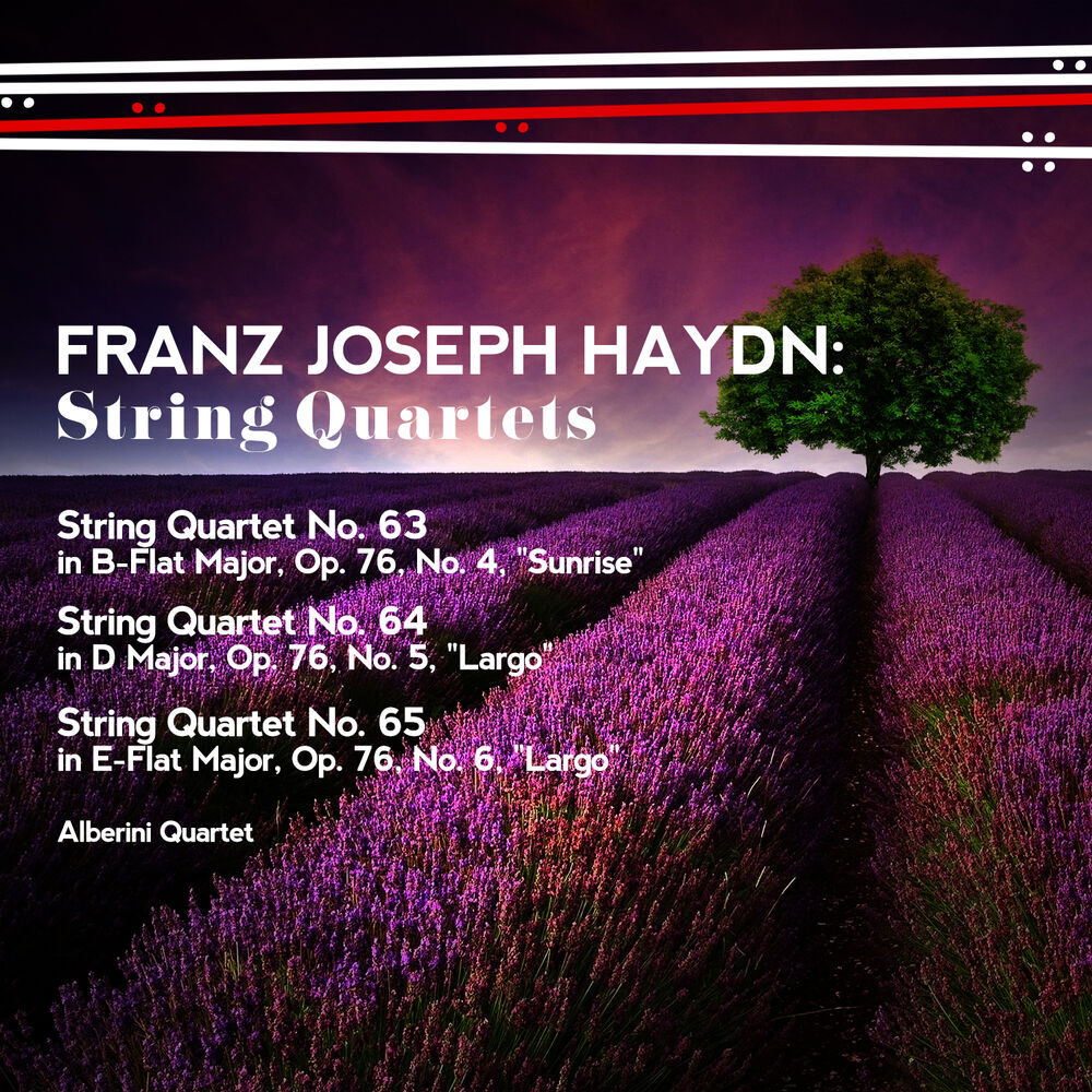 Picture of Franz Joseph Haydn: String Quartets