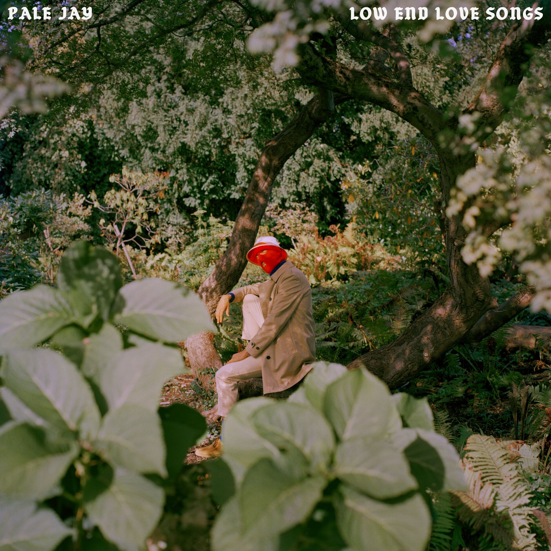 Album cover of Low End Love Songs
