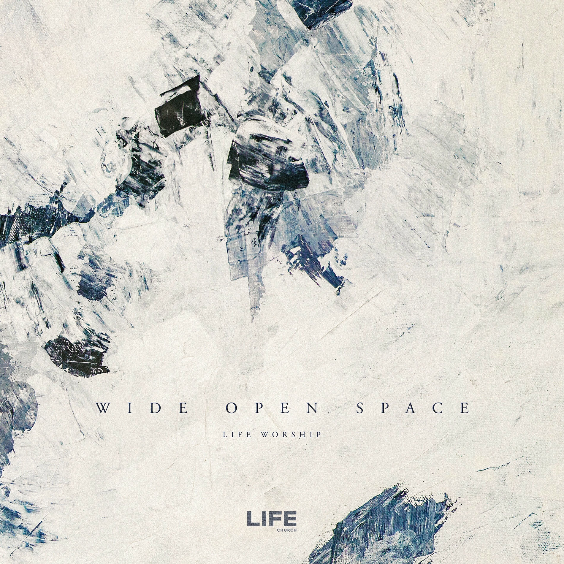 Album cover of Wide Open Space (Live)