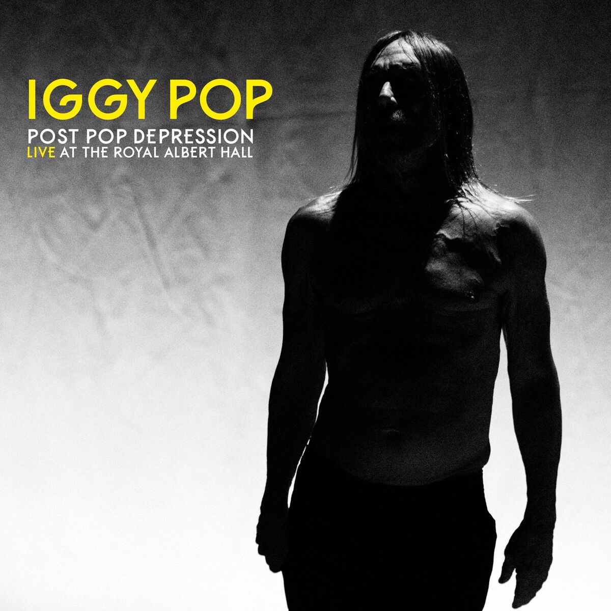 Album cover of Post Pop Depression: Live At The Royal Albert Hall