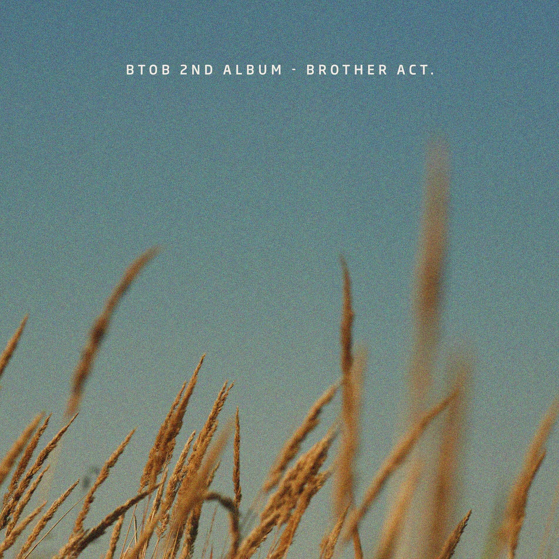 Album cover of Brother Act.
