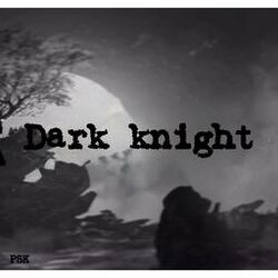 Cover of Dark Knight