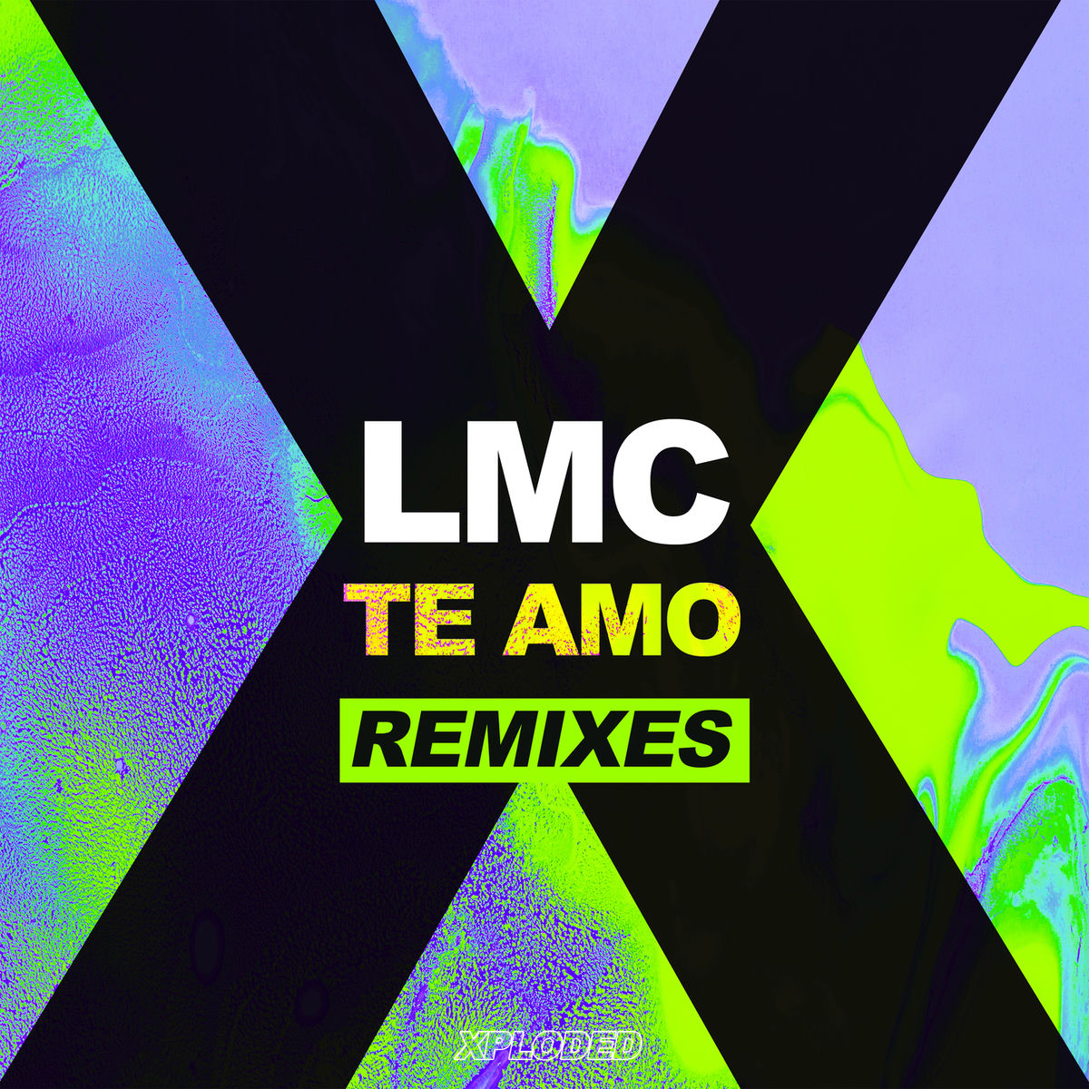 Album cover of Te Amo (Remix)