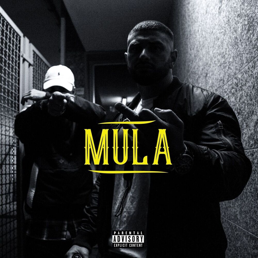 Picture of Mula