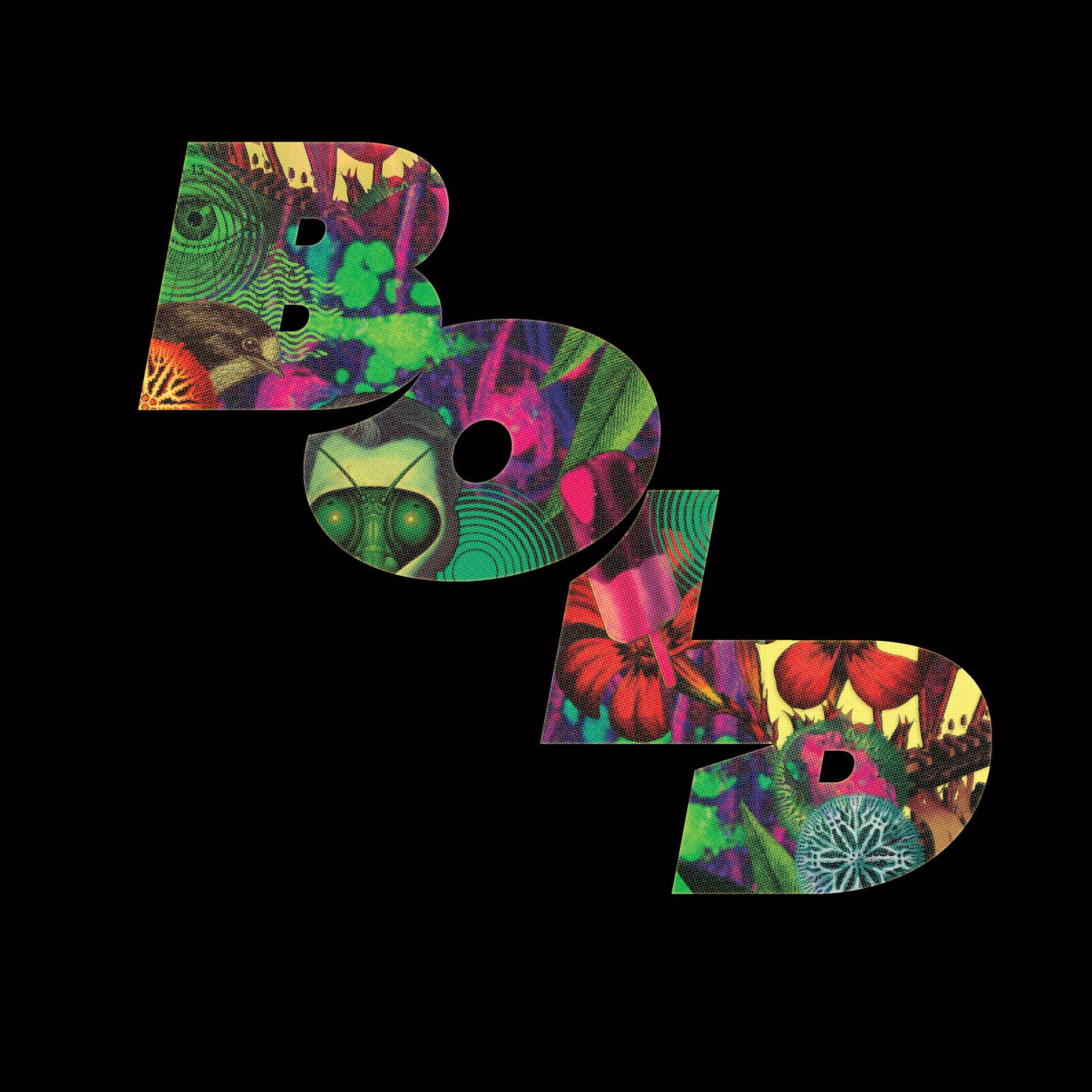 Album cover of BOLD
