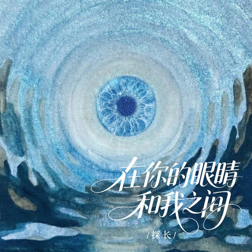 在你的眼睛和我之间