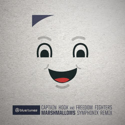 music cover