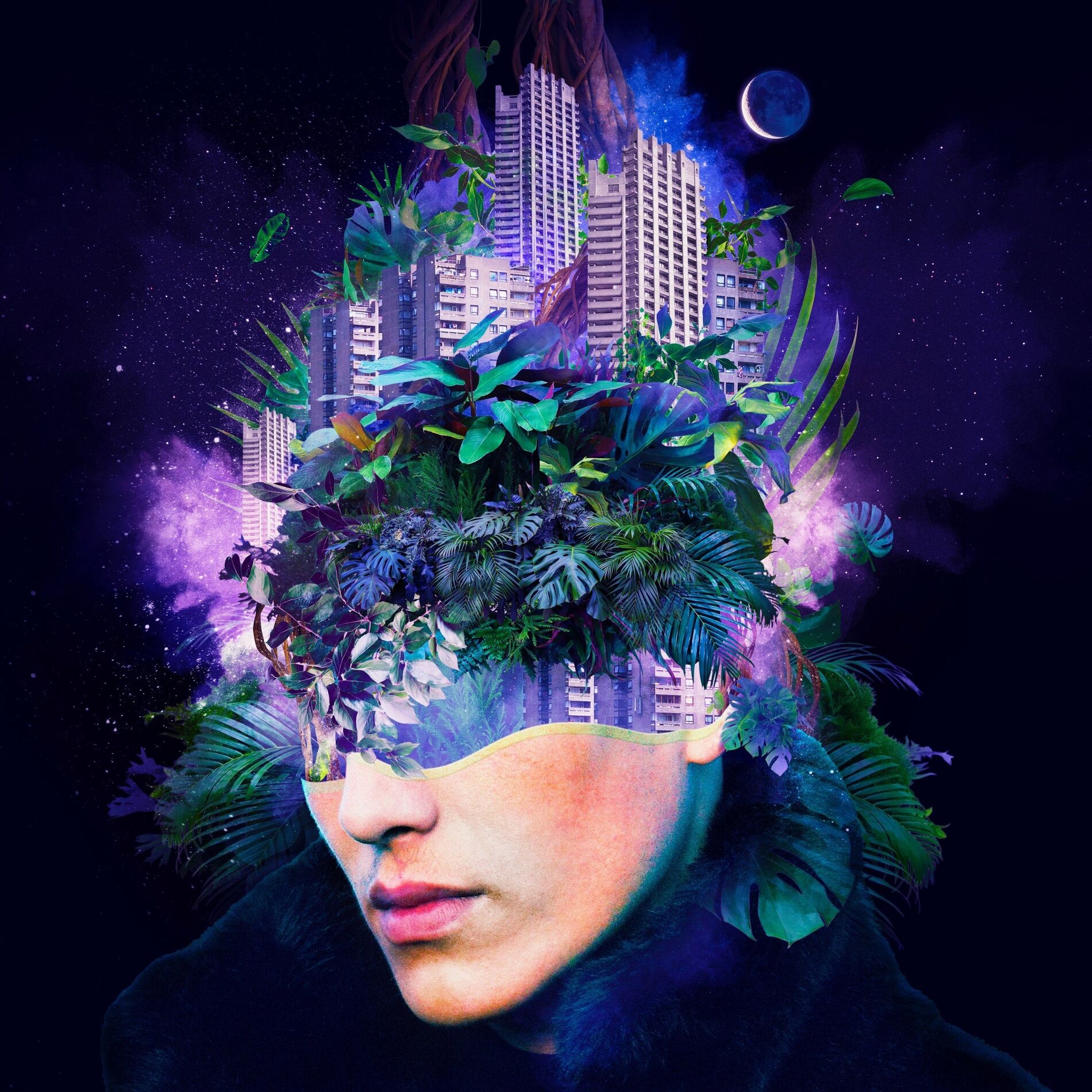 Album cover of Crazy Nature Situations