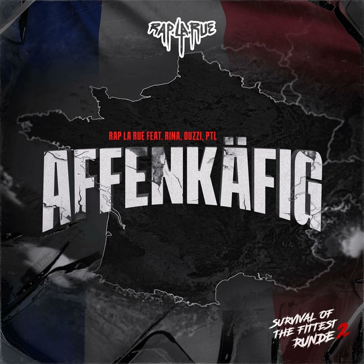 Album cover of AFFENKÄFIG (feat. Rina, Ouzzi & Ptl)