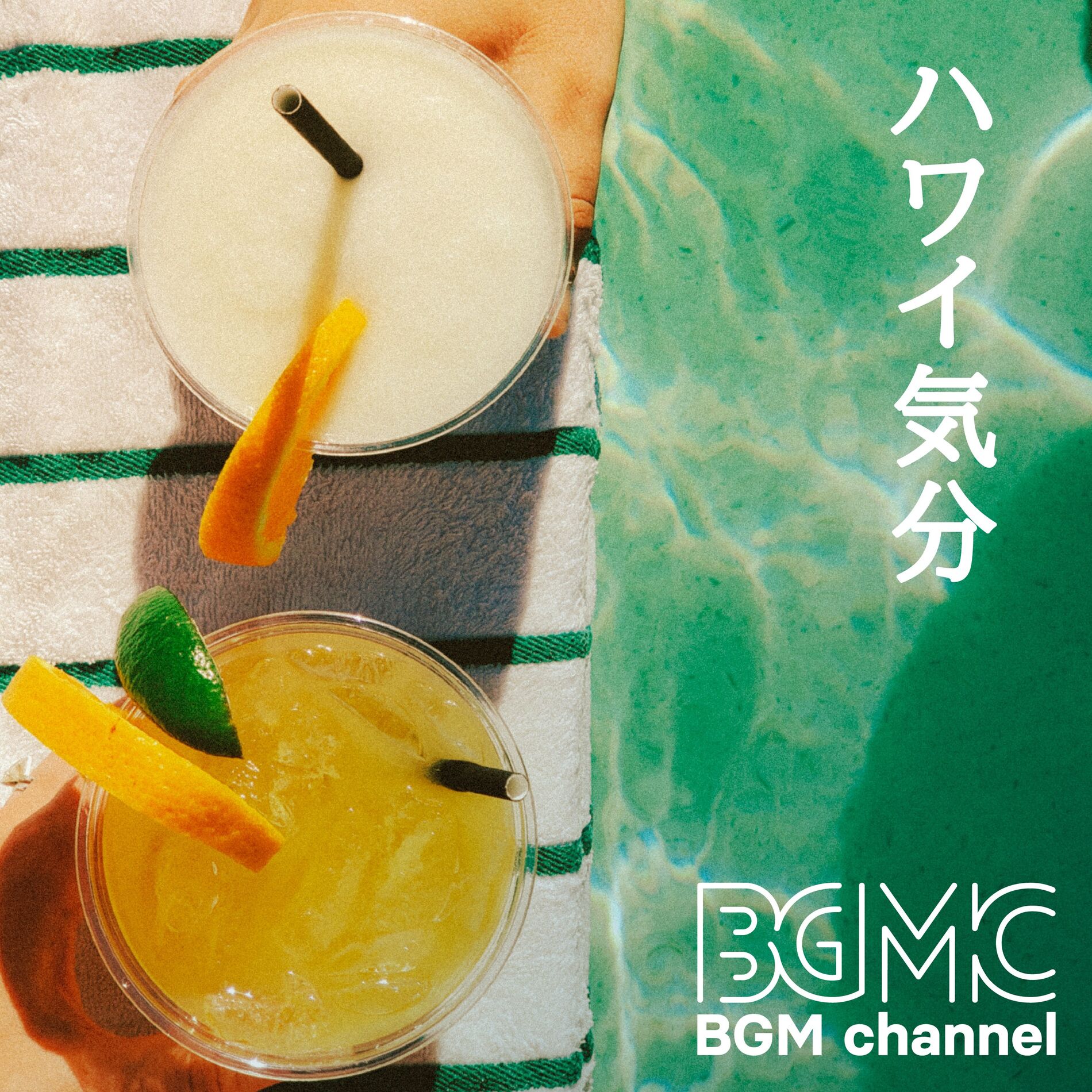 Album cover of Hawaiian Mood