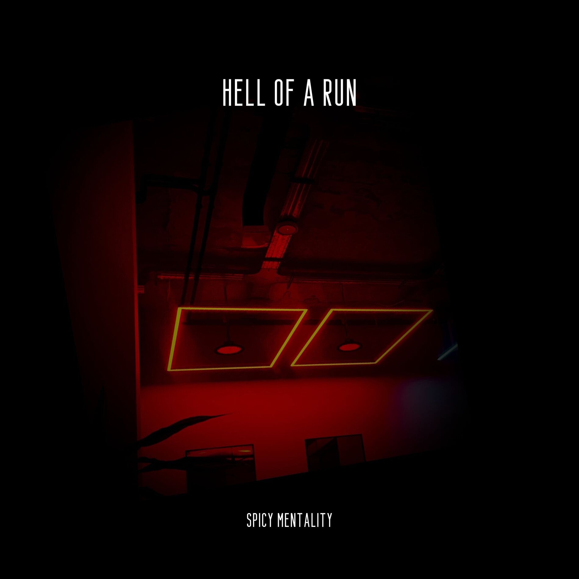 Album cover of Hell of a Run