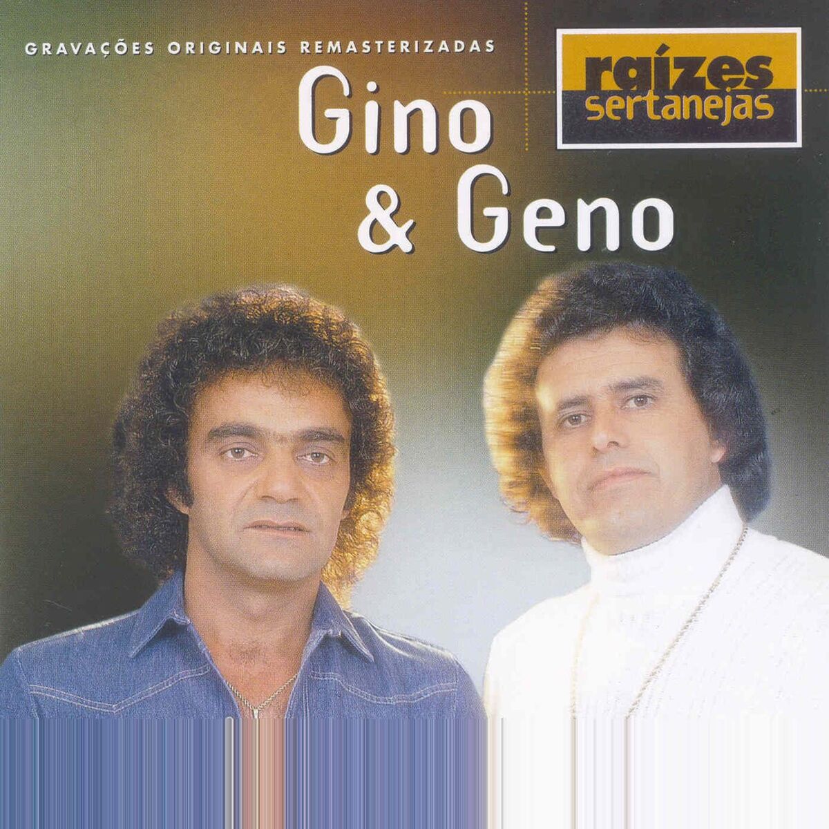 Album cover of Raizes Sertanejas