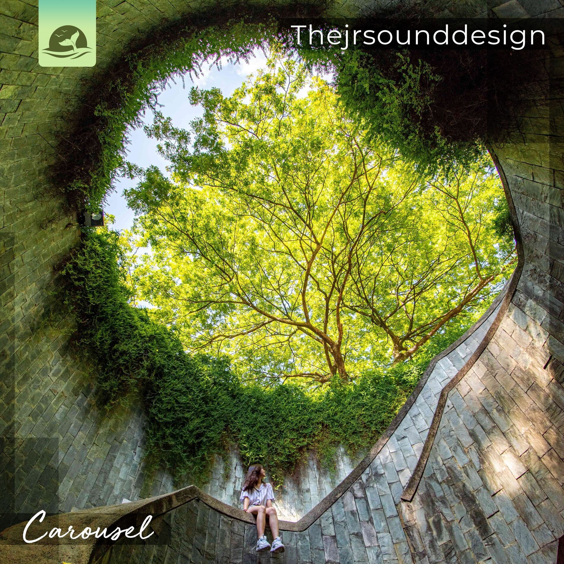Album cover of Carousel