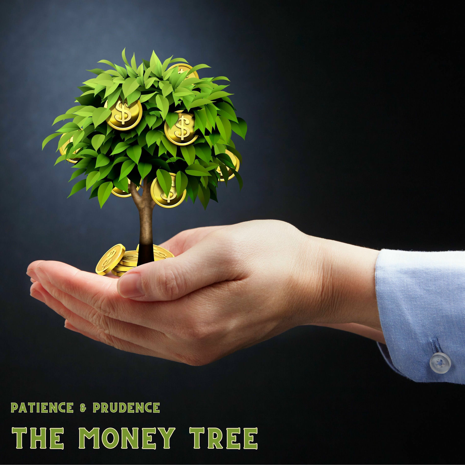 Album cover of The Money Tree