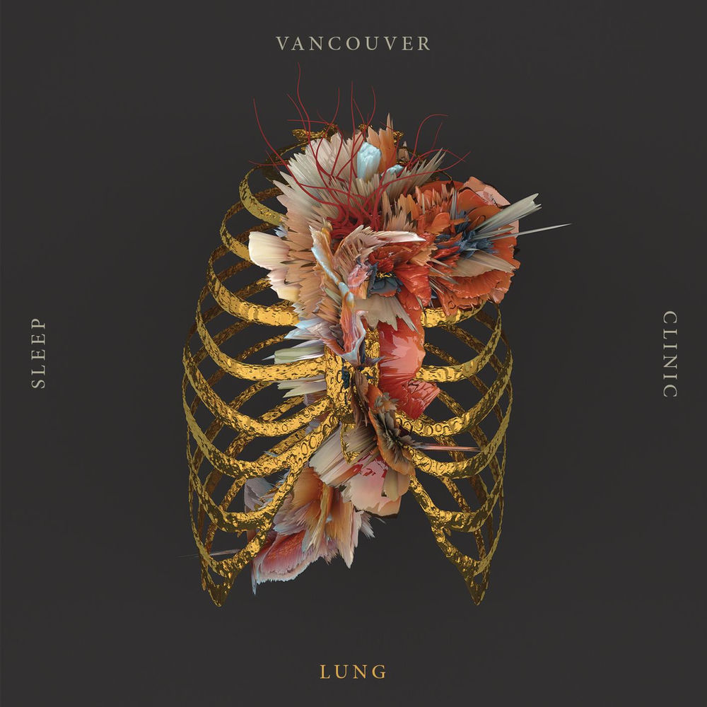 Lung cover