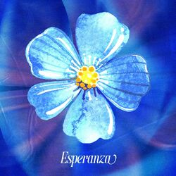Cover of Esperanza