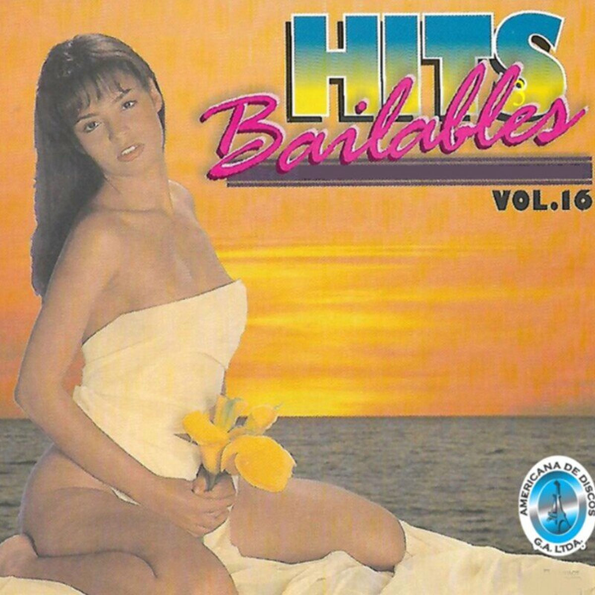 Album cover of Hits Bailables, Vol. 16