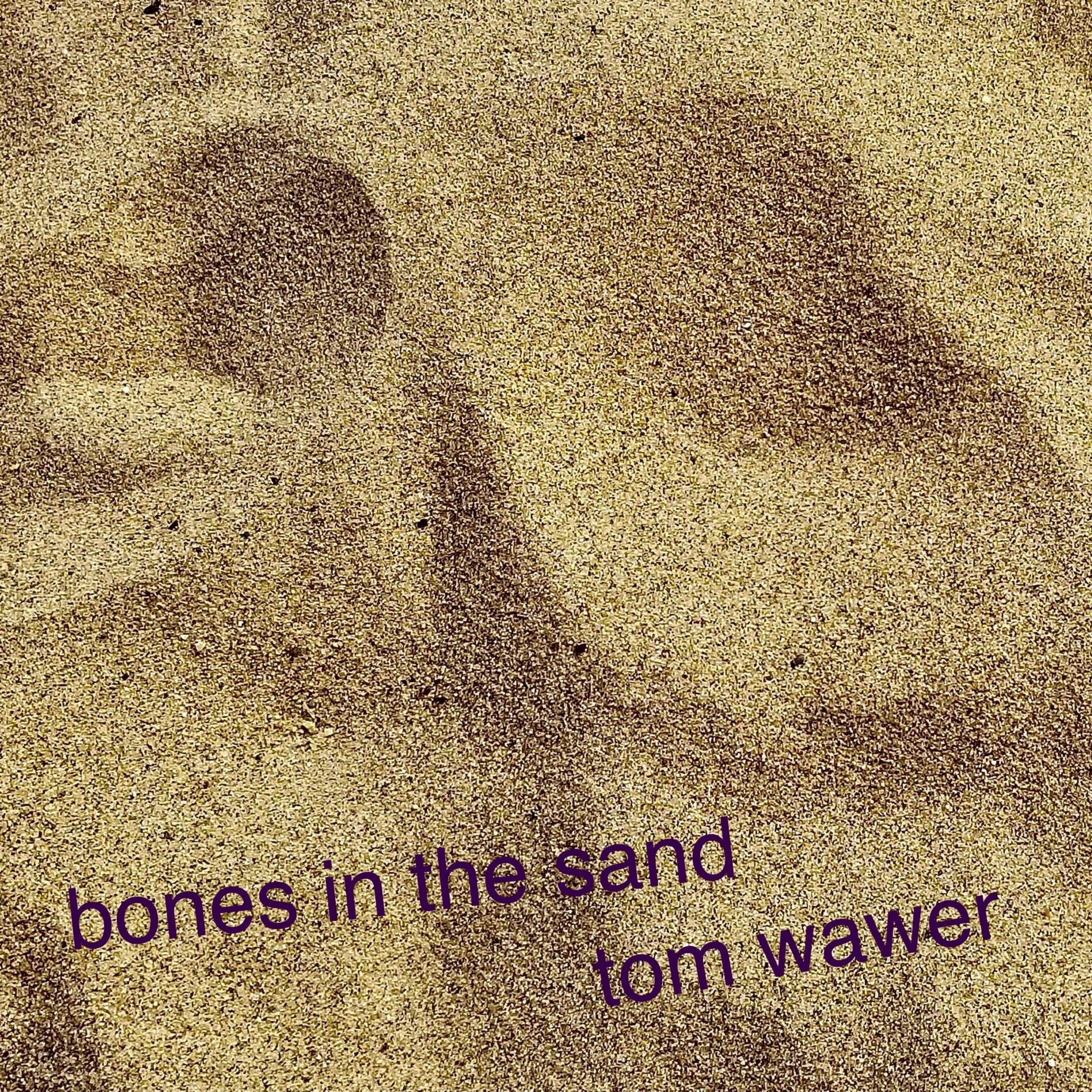 Album cover of bones in the sand