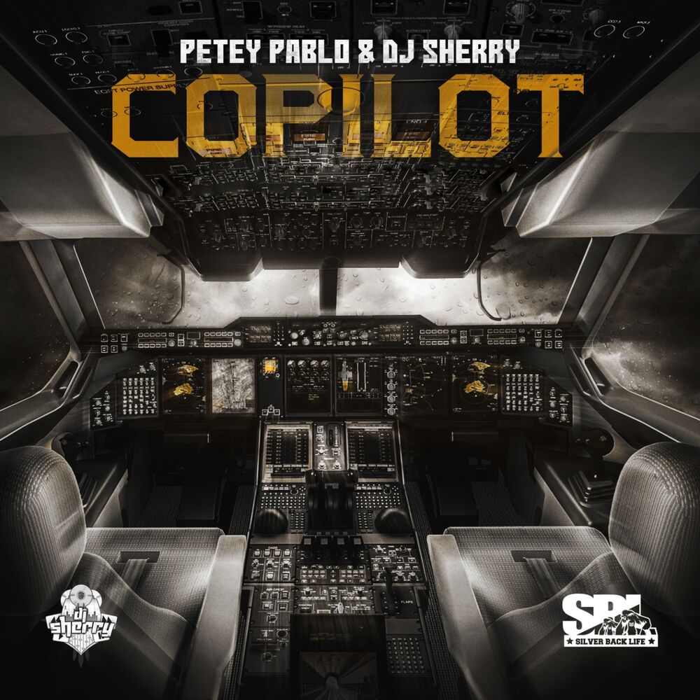 Picture of Copilot