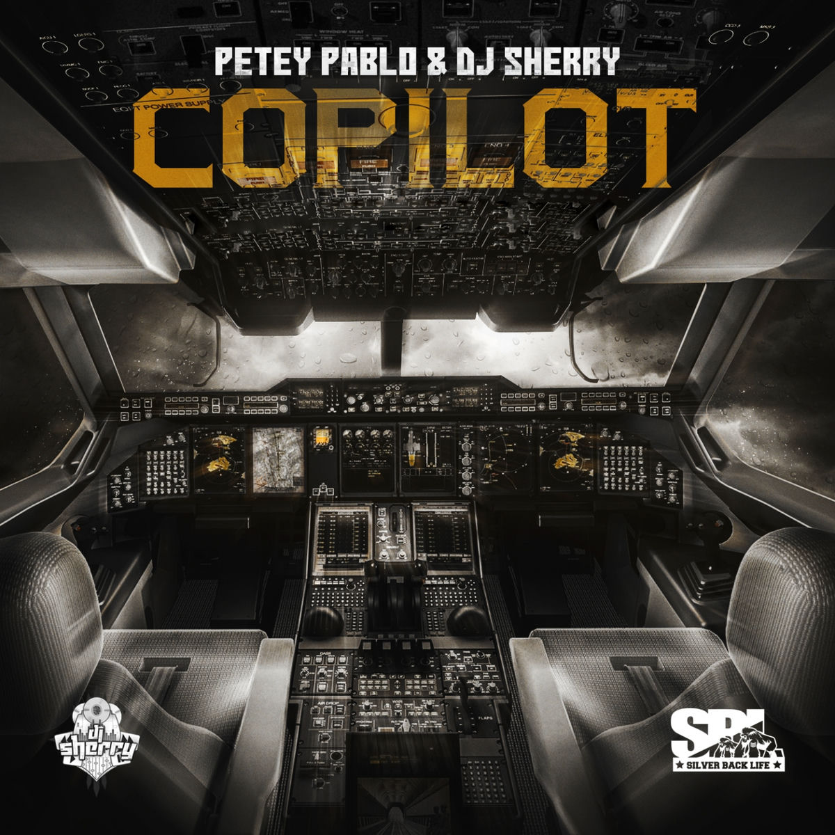Album cover of Copilot