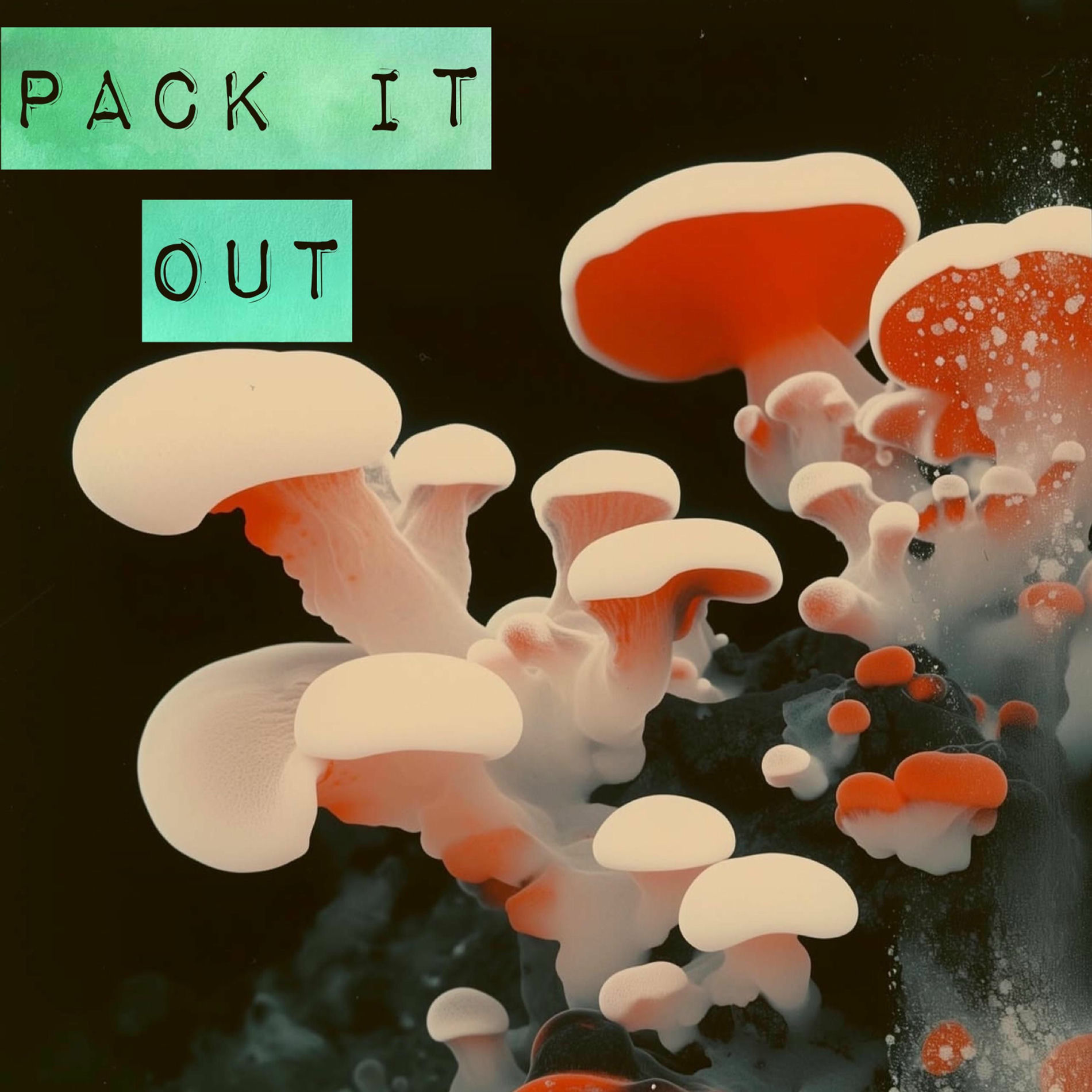 Album cover of Pack It Out (feat. BeeTaylor, 1 Love & Tasha LaRae)